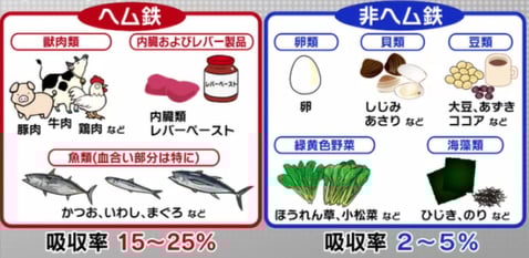 鉄分の摂取と鉄剤 | カバヨちゃん、夢で逢おうね♪