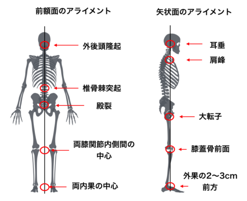 イメージ画像