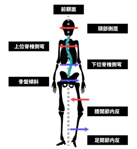 イメージ画像