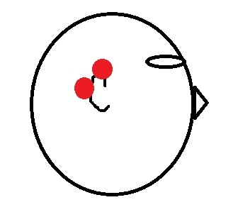 イメージ画像