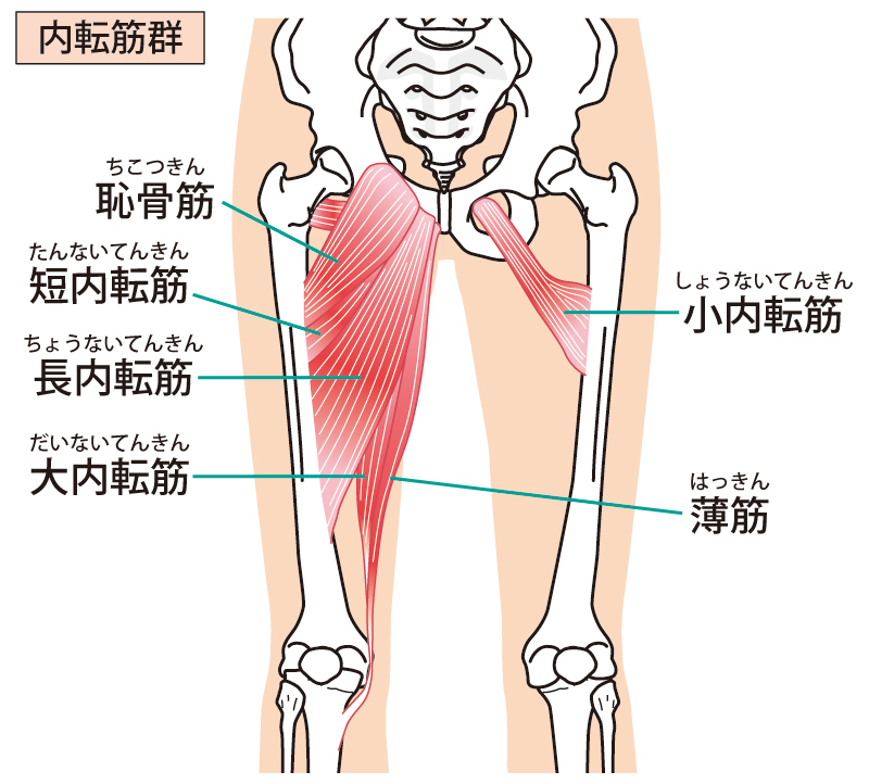 イメージ画像