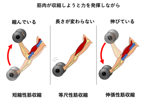 イメージ画像