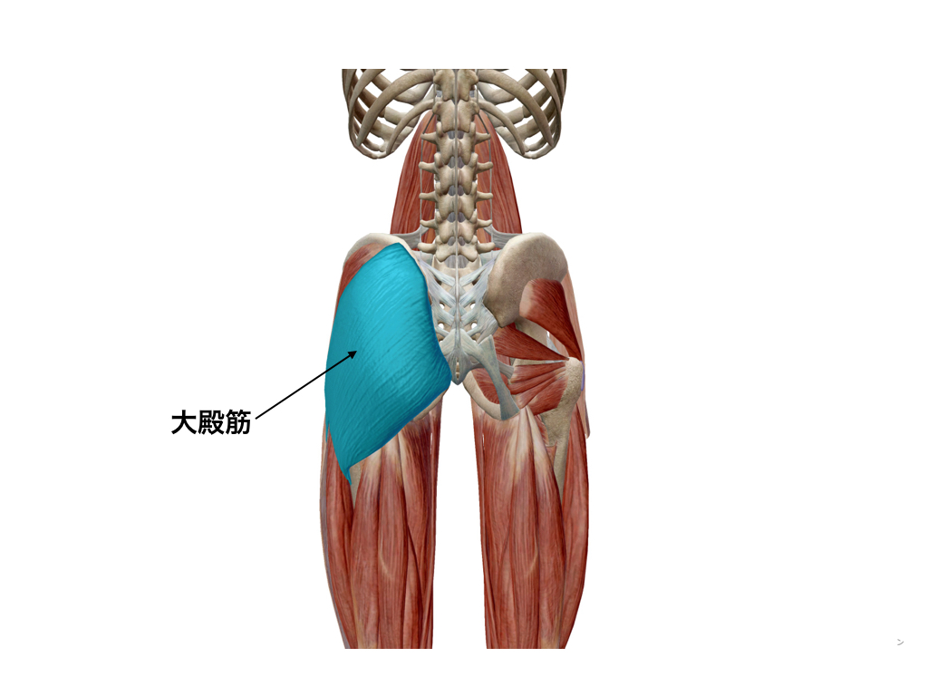 イメージ画像