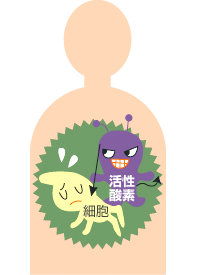 イメージ画像